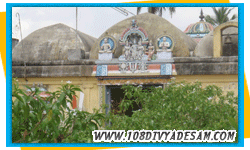 divya desams in chola nadu tours customized tirtha yatra